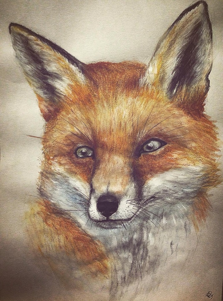 Fox
